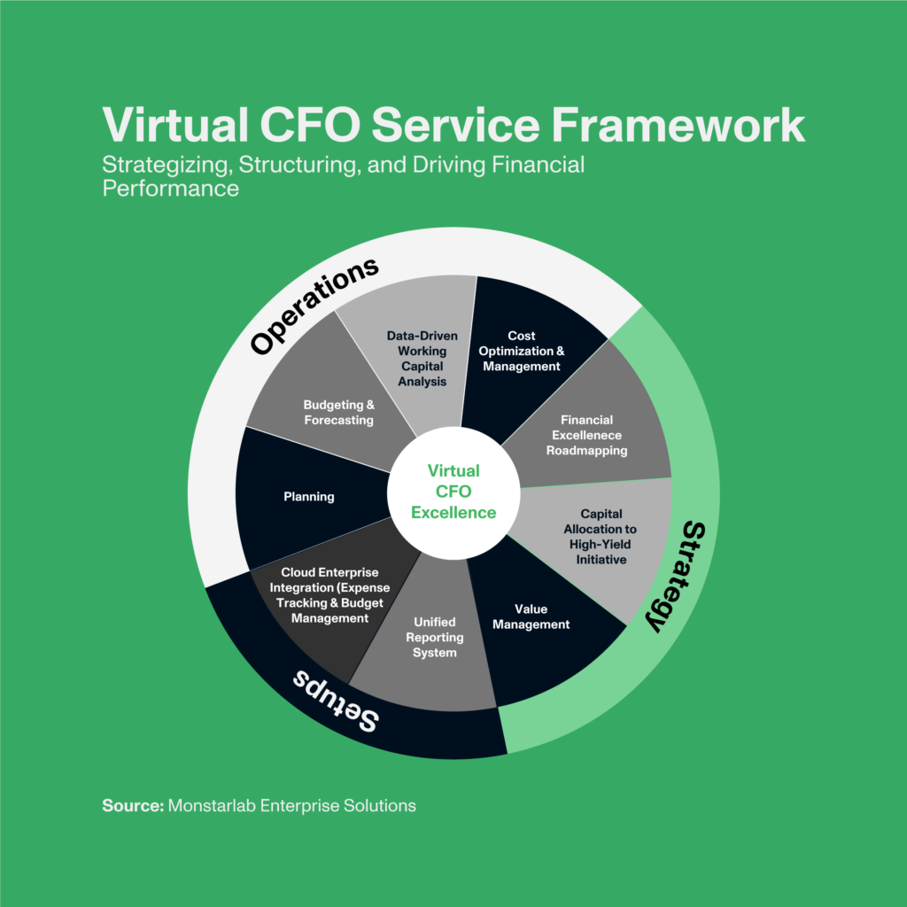 Virtual CFO service approach and framework